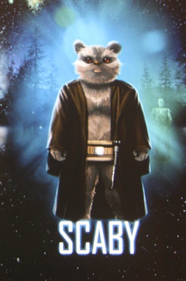 Élise, créatrice de ScabyCam